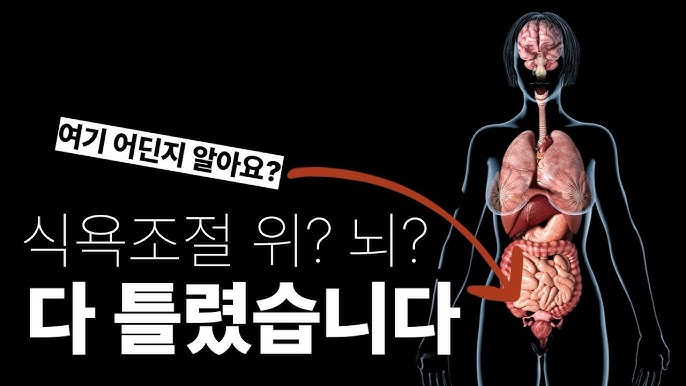 다이어트와 식욕 조절 원리