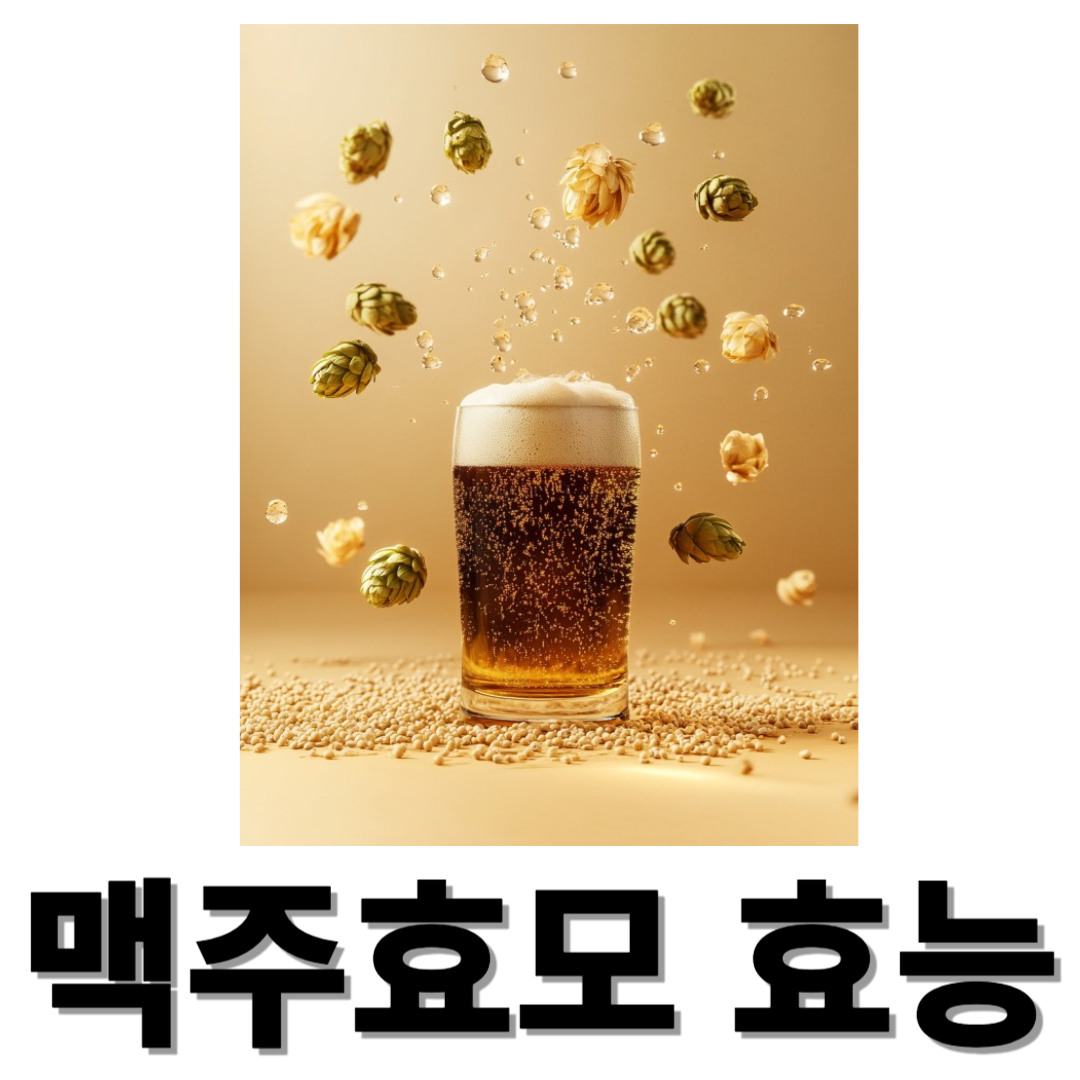 맥주효모와 관련된 사진입니다.