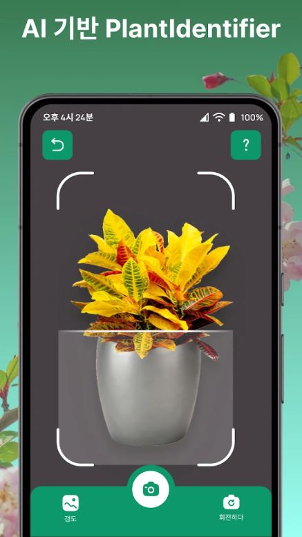 사진으로 식물이름 찾기