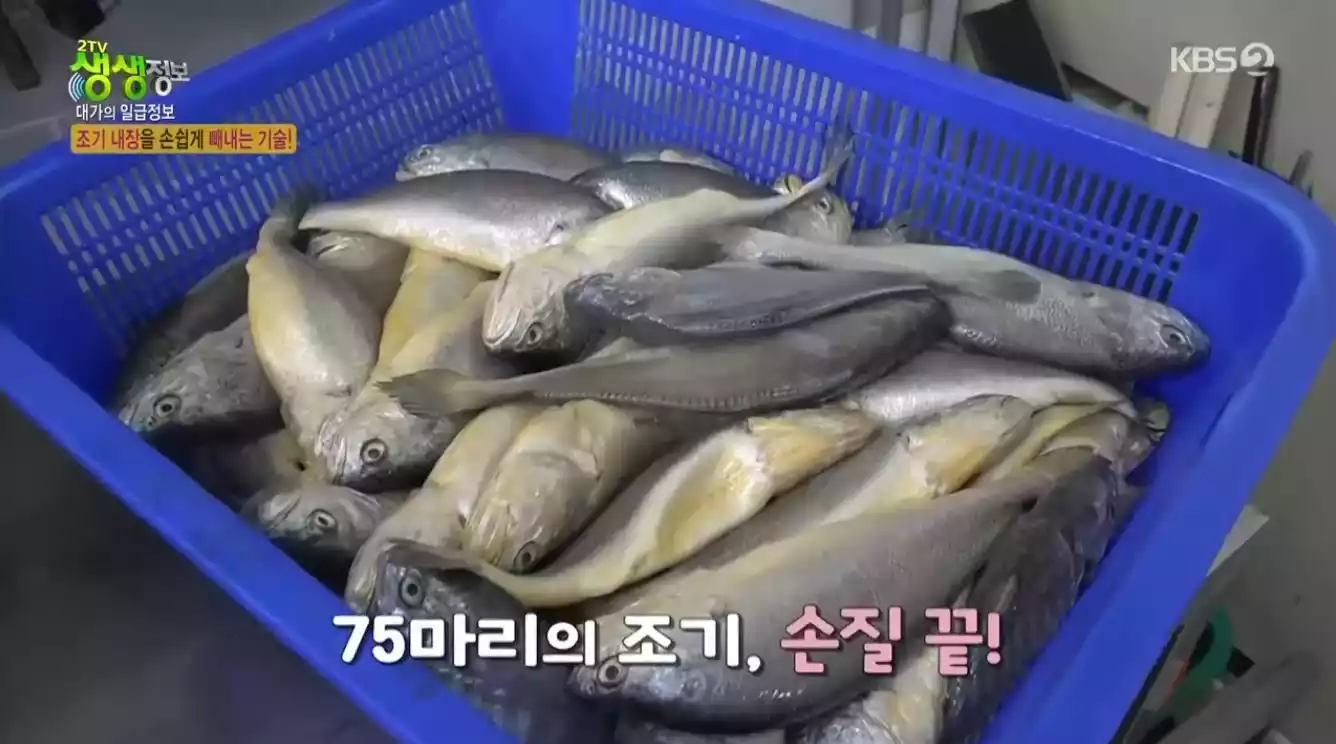 조기 손질