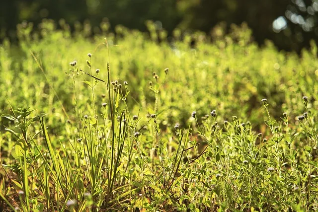 추분 뜻 의미 날짜에 대해 정리_1