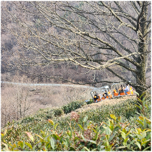 구재봉자연휴양림