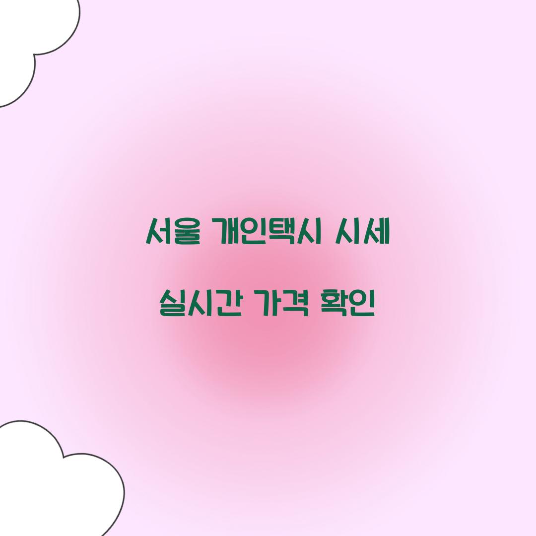 서울 개인택시 시세