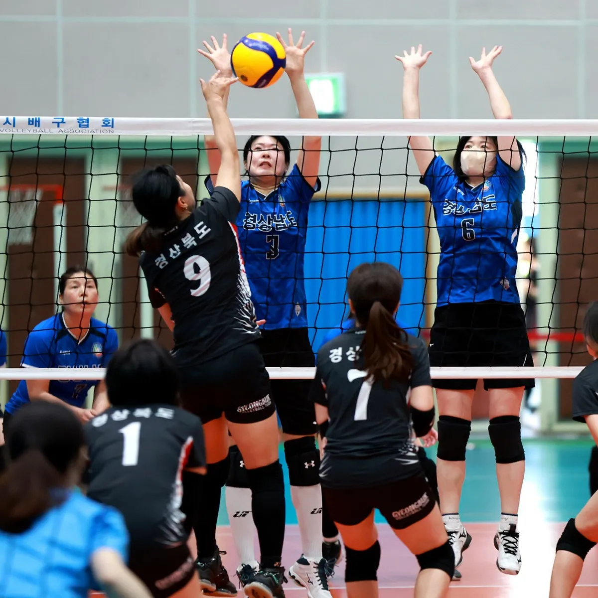 전국생활체육대축전 배구