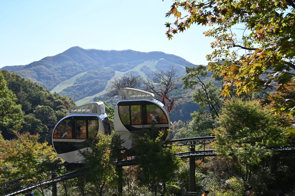 화담숲-예약-방법-2025년-최신-입장료-완벽-가이드