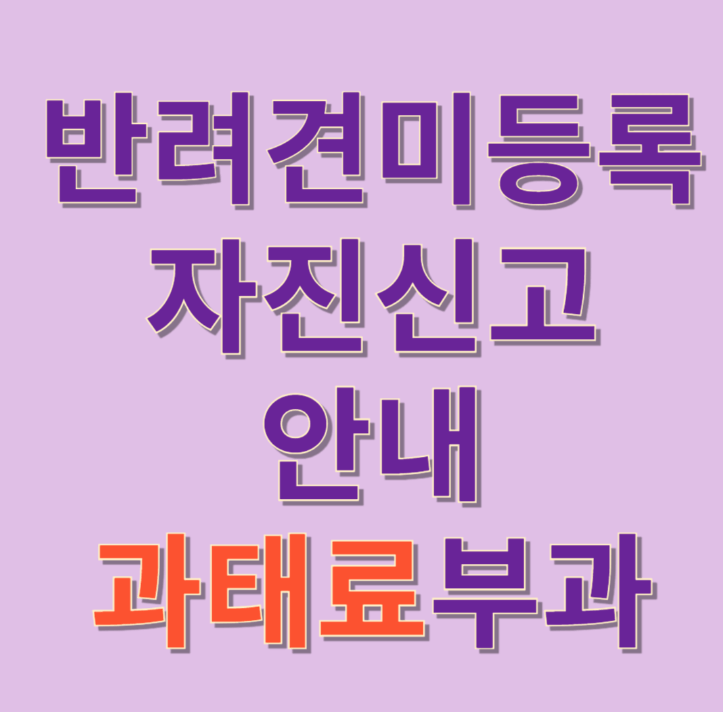 2024반려견미등록 자진신고안내및 과태료부과