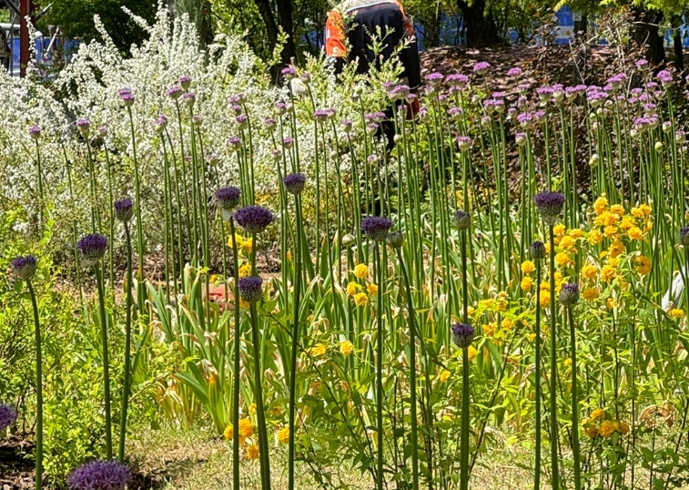 서울국제정원박람회