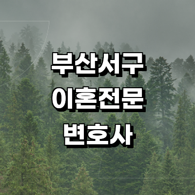 부산 서구 이혼 변호사