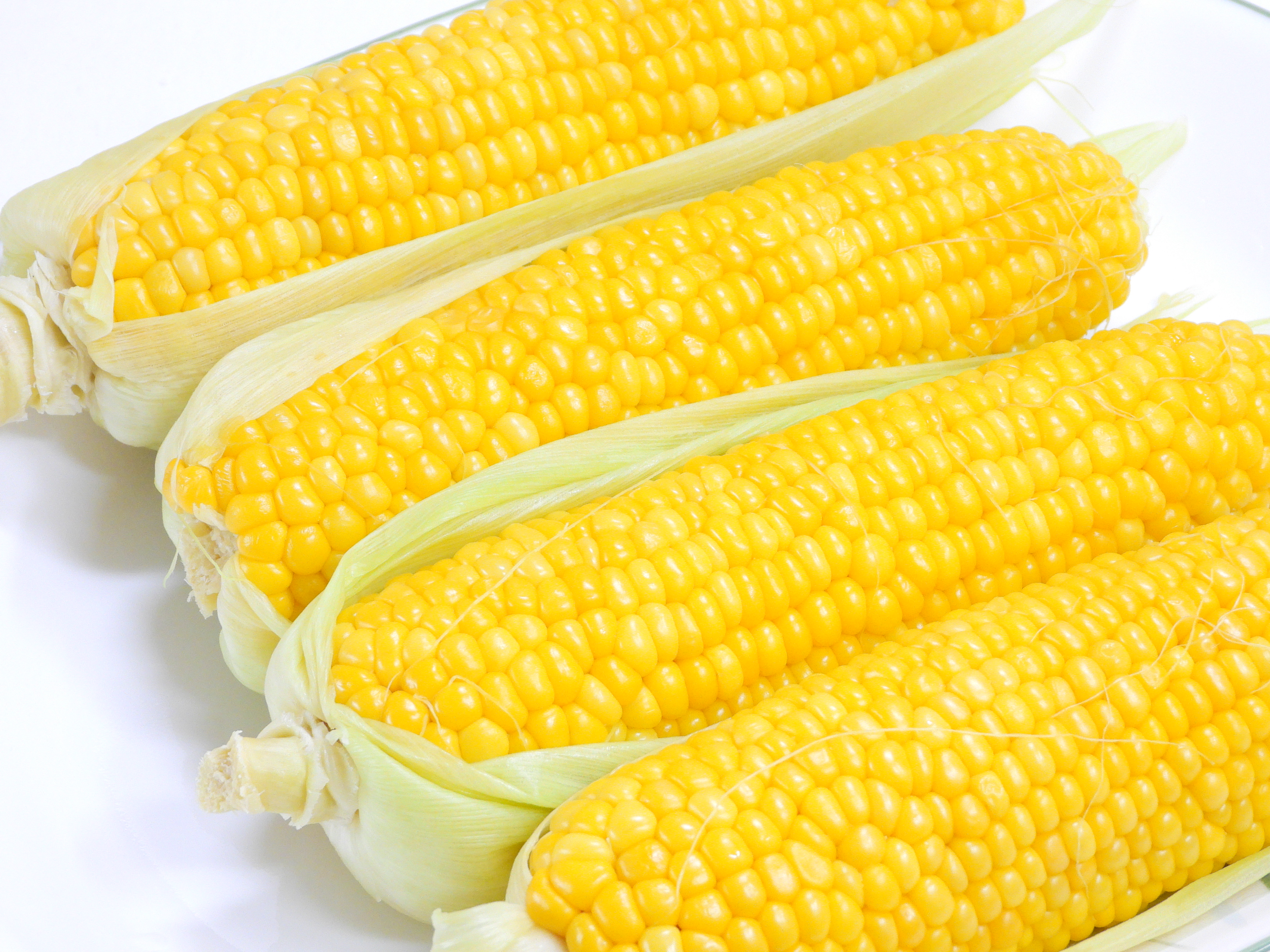 썸네일, 초당옥수수