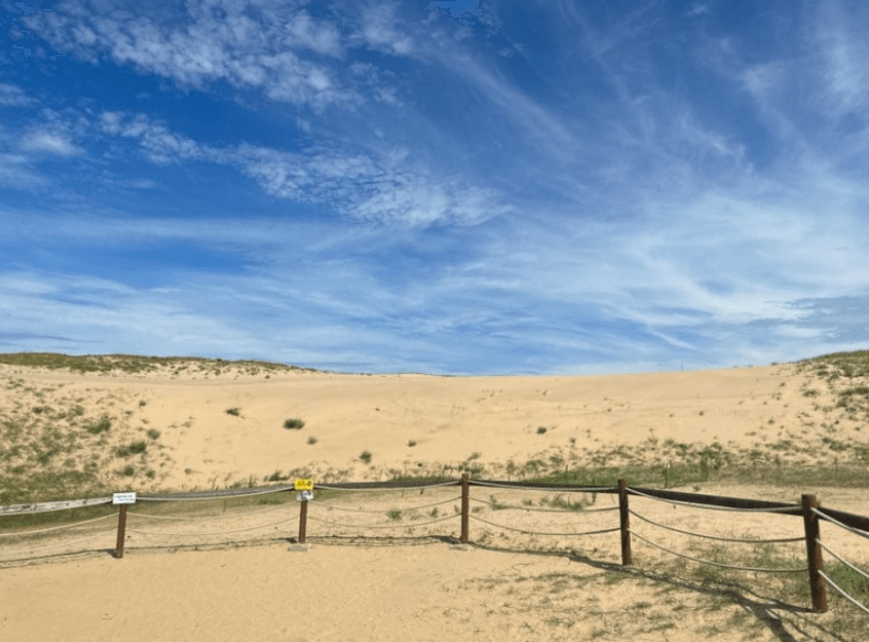 신두리-해안사구