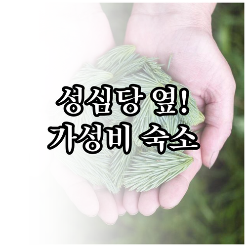 대전 여행 필수 코스 성심당 인근 숙..