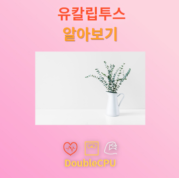 유칼립투스 탐구