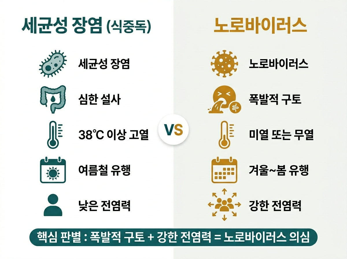 노로바이러스 장염 차이, 구토 설사 원인, 세균성 식중독 비교, 전염력 차이