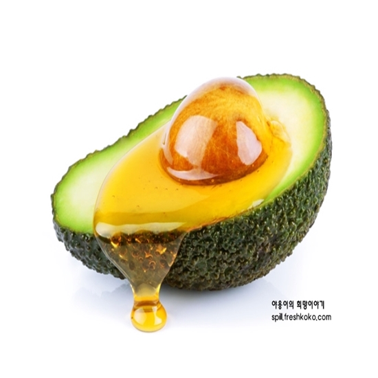 아보카도 오일 효능
