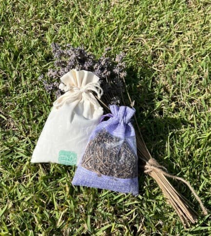 2025 고창 청농원 라벤더 축제: 보랏 빛 힐링의 계절이 돌아왔다!