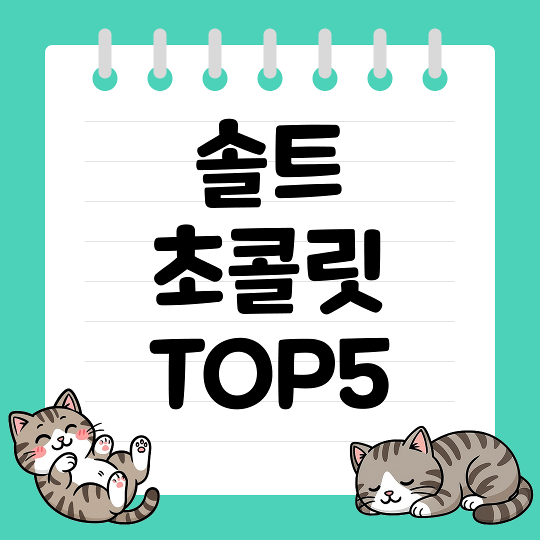 단짠단짠 솔트 초콜릿 추천 순위 TOP5