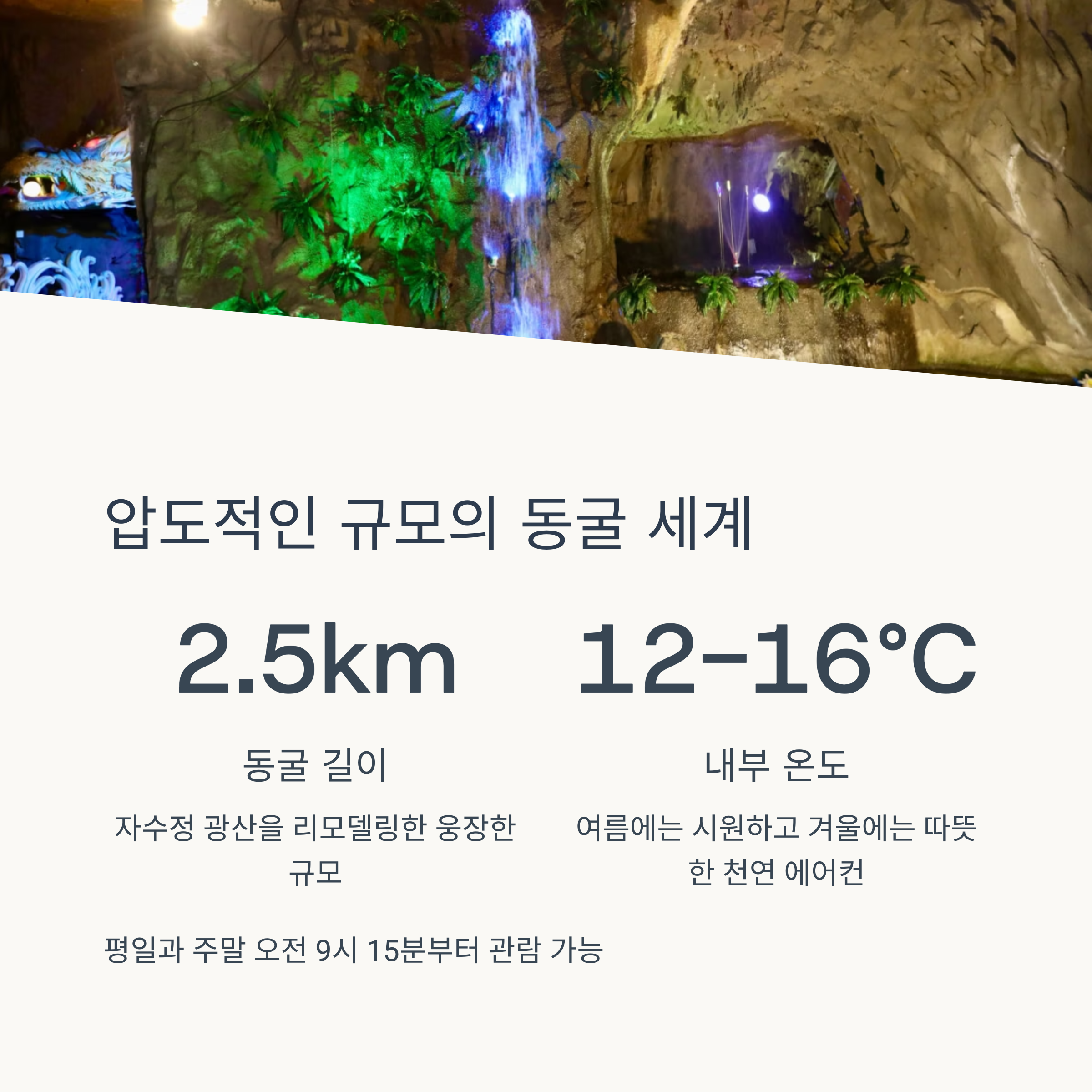 압도적인 규모의 동굴 세계
