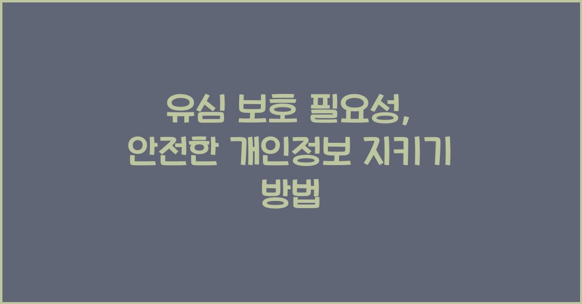 유심 보호 필요성