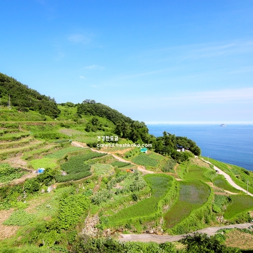 경상도 가볼만한곳 베스트10