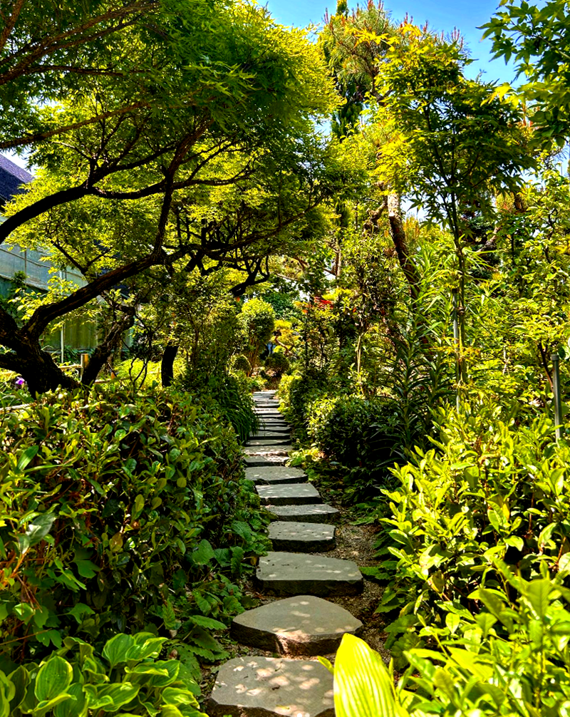 특색있고 아름다운 민간 정원 30선 추천 여행 - 26. 정읍 들꽃마당(제이포렛)