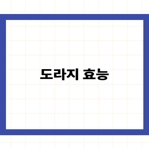 도라지 효능 —의학적으로 검증된 5가지 역할과 섭취 주의사항