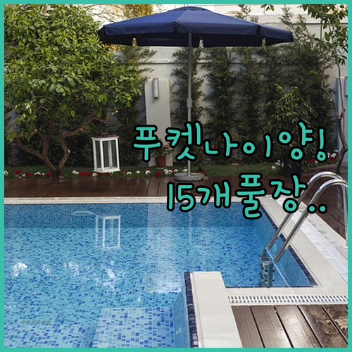 2024년 신상 포함 푸켓 나이양 리..