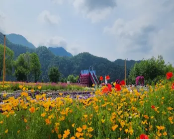 자라섬 꽃축제_6