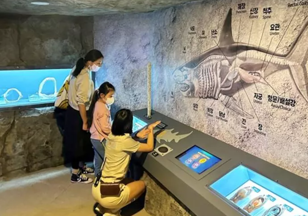 부산 씨라이프 아쿠아리움