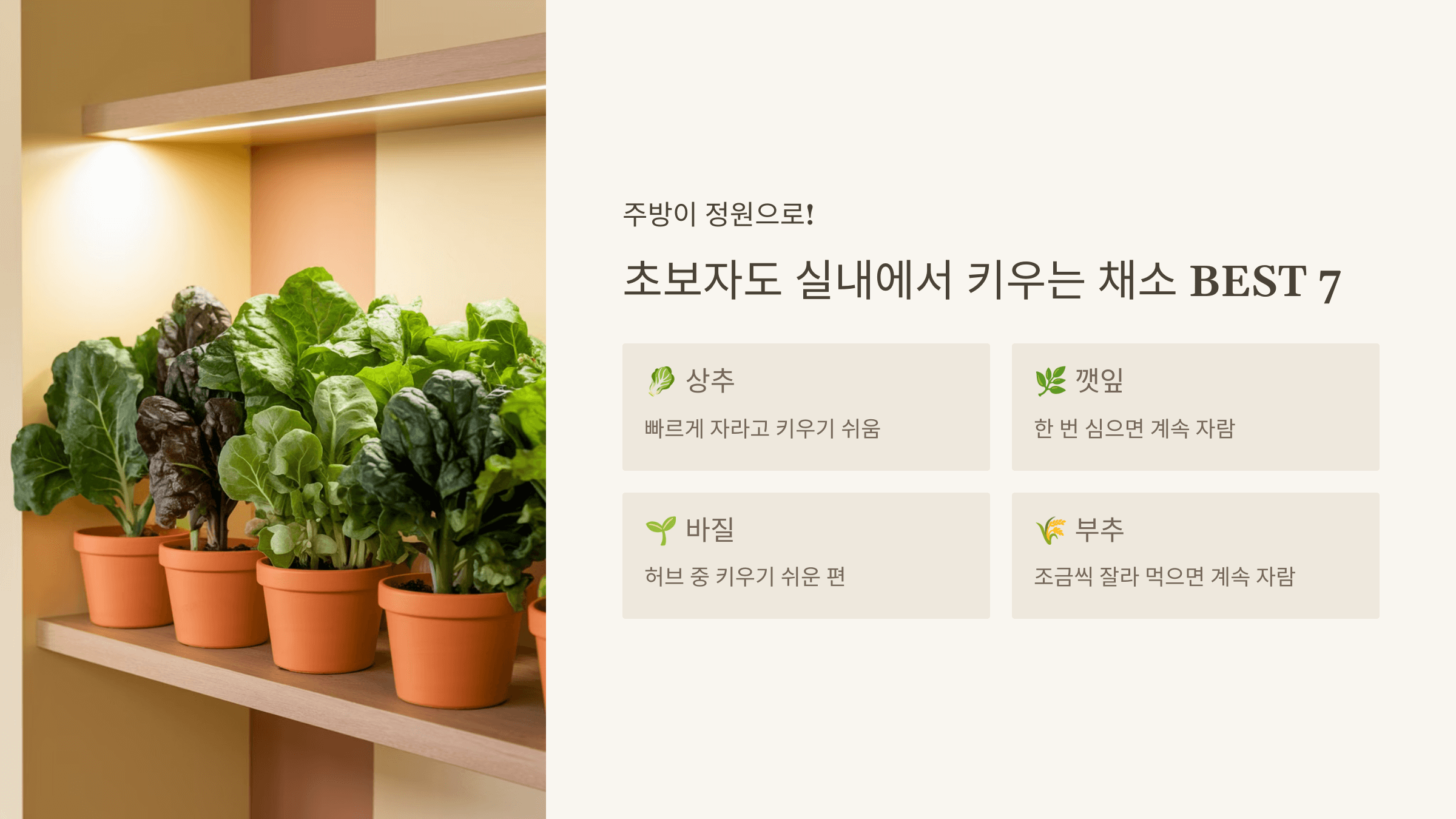 실내에서 키우기 쉬운 채소 BEST 7