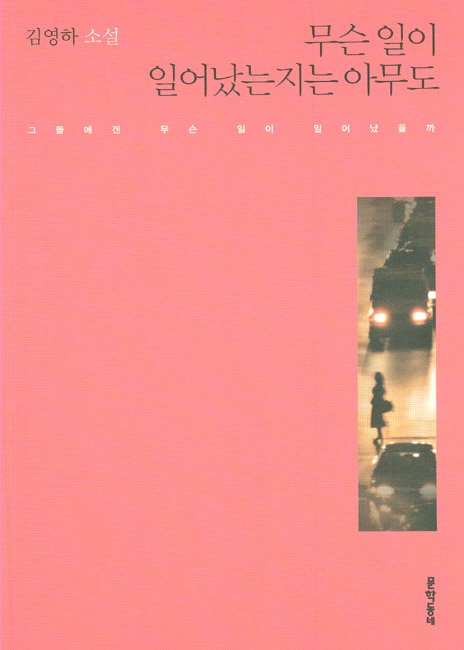 소설 무슨 일이 일어났는지는 아무도