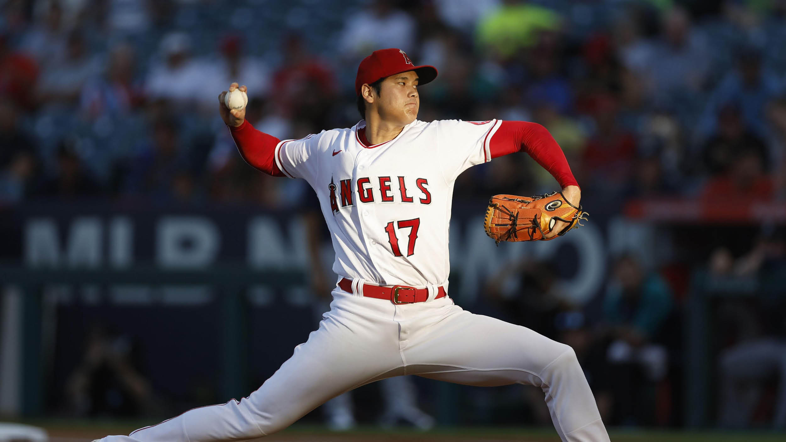 오타니 쇼헤이 결혼 연봉 피지컬 크기 