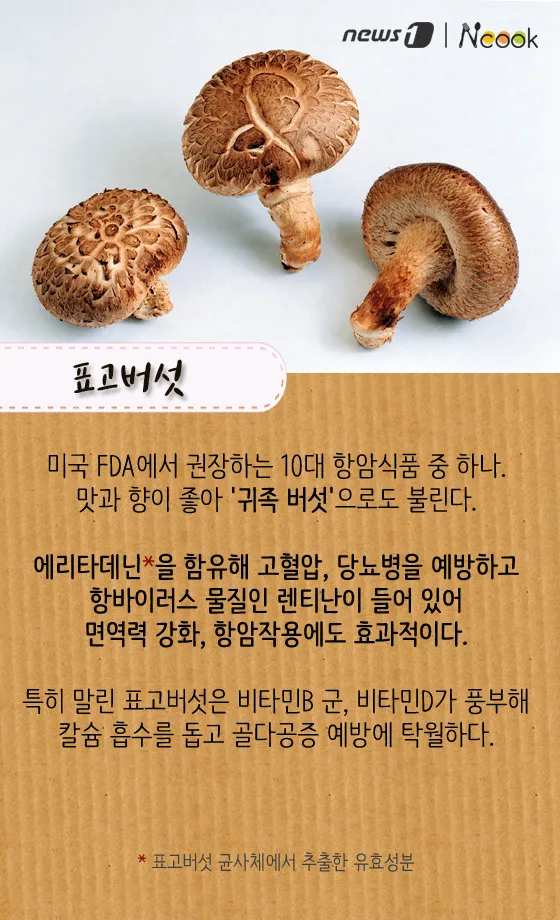 표고버섯 효능_5