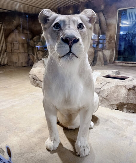 아이니테마파크-대구-가볼만한곳-추천