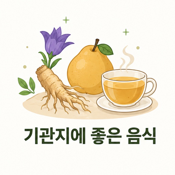 기관지에 좋은 음식 정리