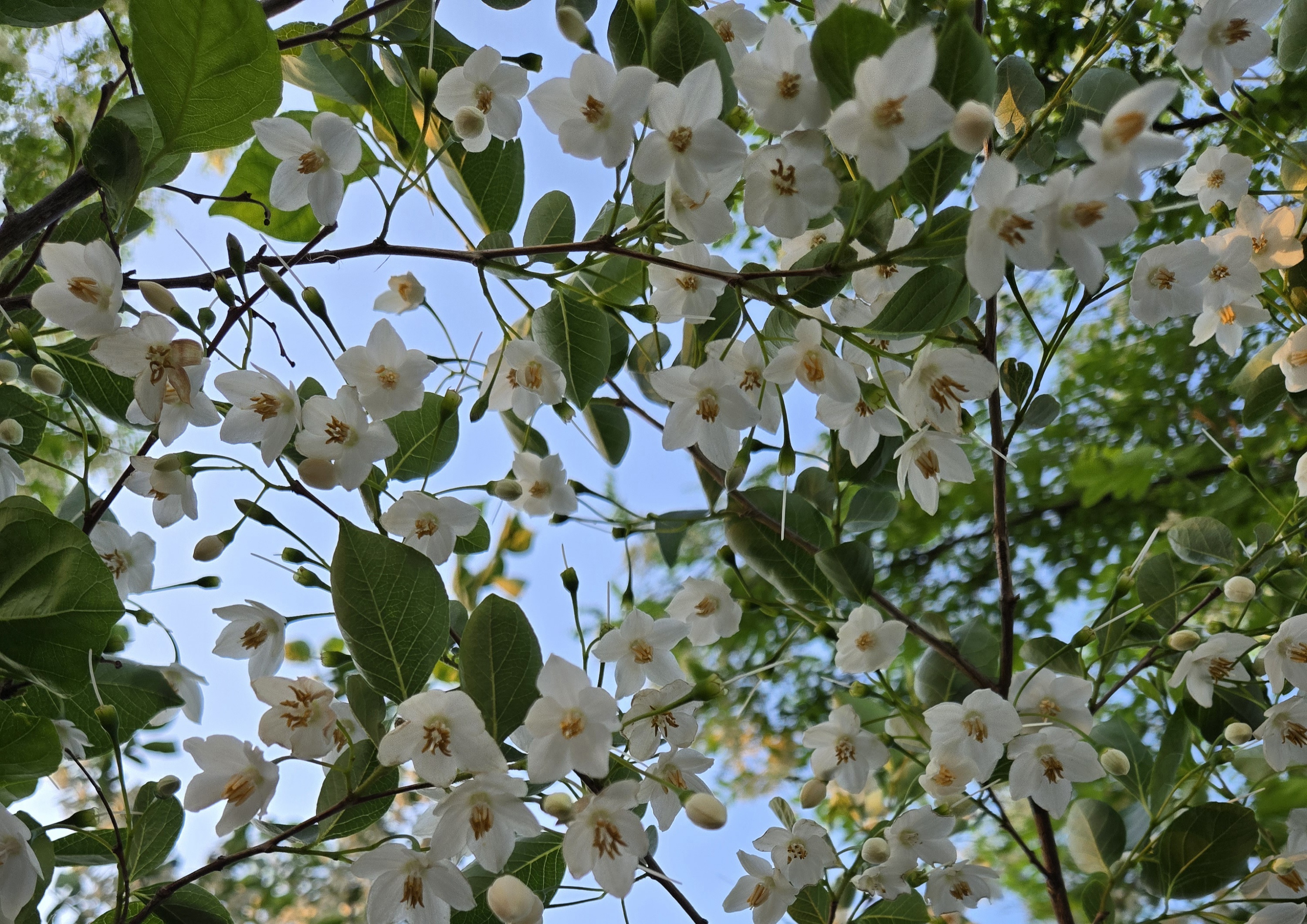 죽변항부터 등대까지, 죽변해안스카이레일로 떠나는 동해 절경 투어