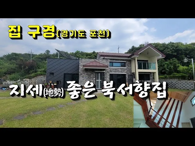 북서향 창문 식물 선택 저광량관리 물주기 식물등 세팅 가이드_4