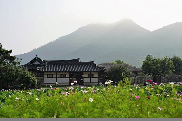 연잎차효능