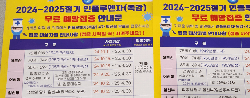2024-2025년 인플루엔자(독감) 백신 무료예방접종 대상·시기·종류