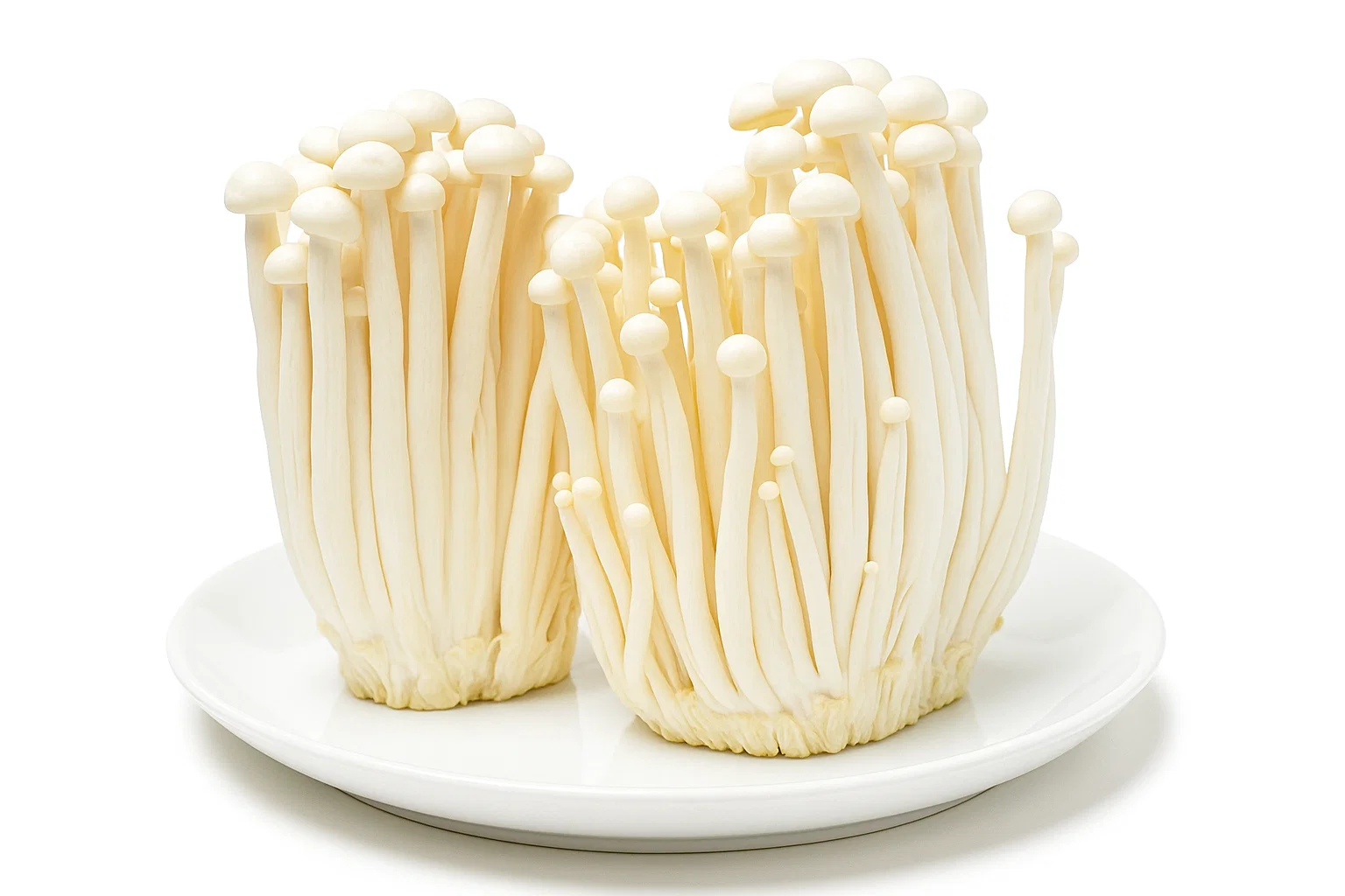 볼륨식단 식사 예시 이미지 3