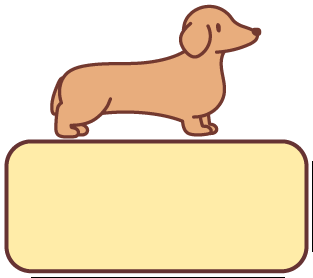 나인패치 늘어나는 기준선