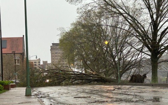 웨스트버지니아 폭풍 피해