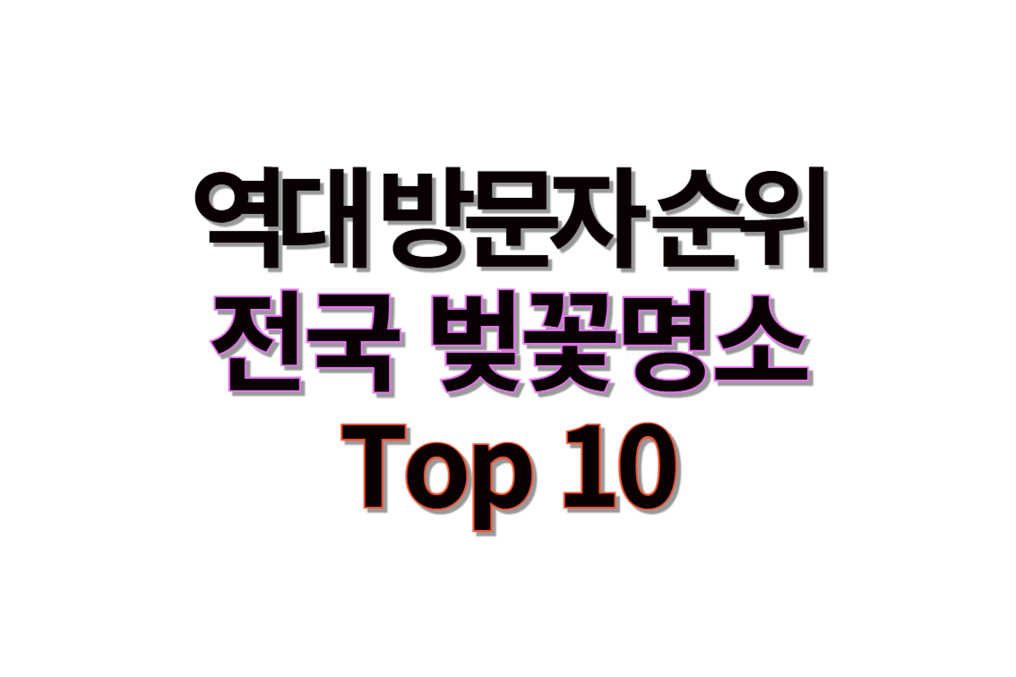 전국 벚꽃 명소 TOP10 ! 역대 방문자 수로 보는 인기 장소는?