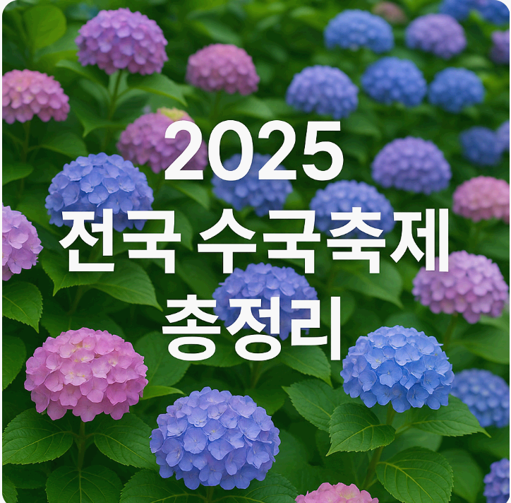 2025 전국 수국축제 총정리｜지역별 수국 명소 &amp; 일정 안내