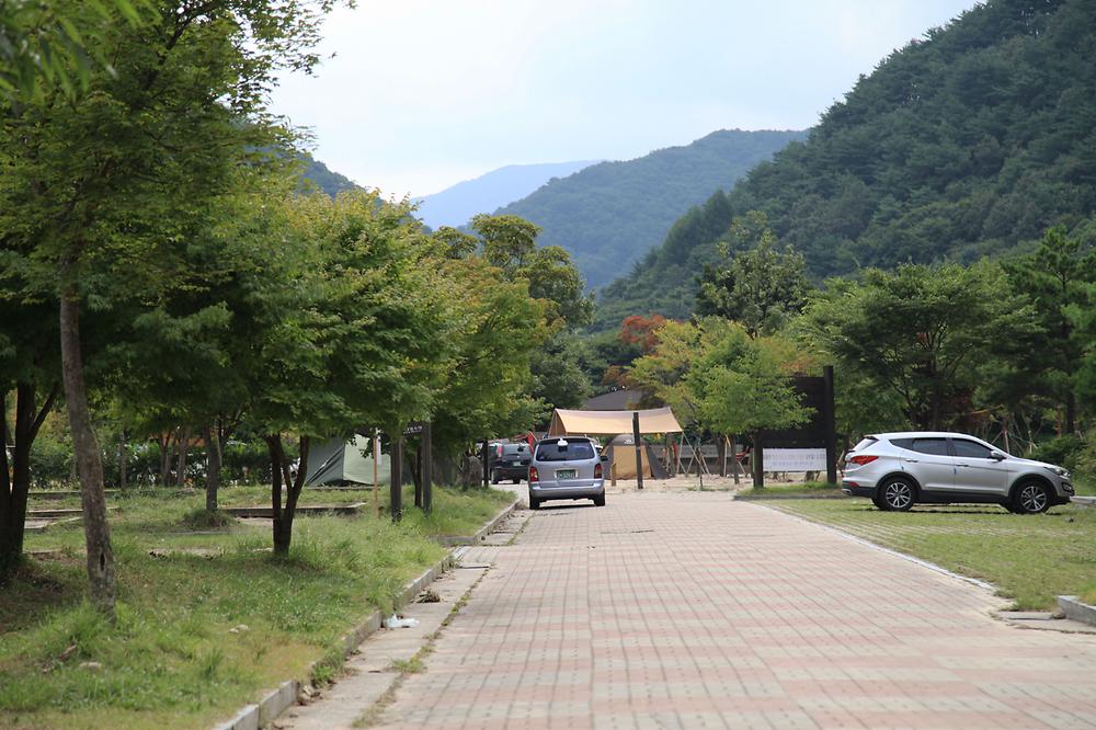 지리산 달궁자동차야영장

전북 남원시 산내면 덕동리 274