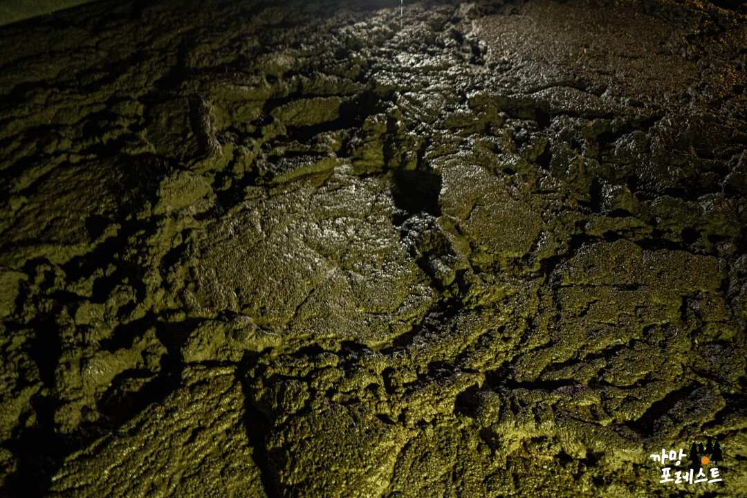 제주 만장굴 바닥