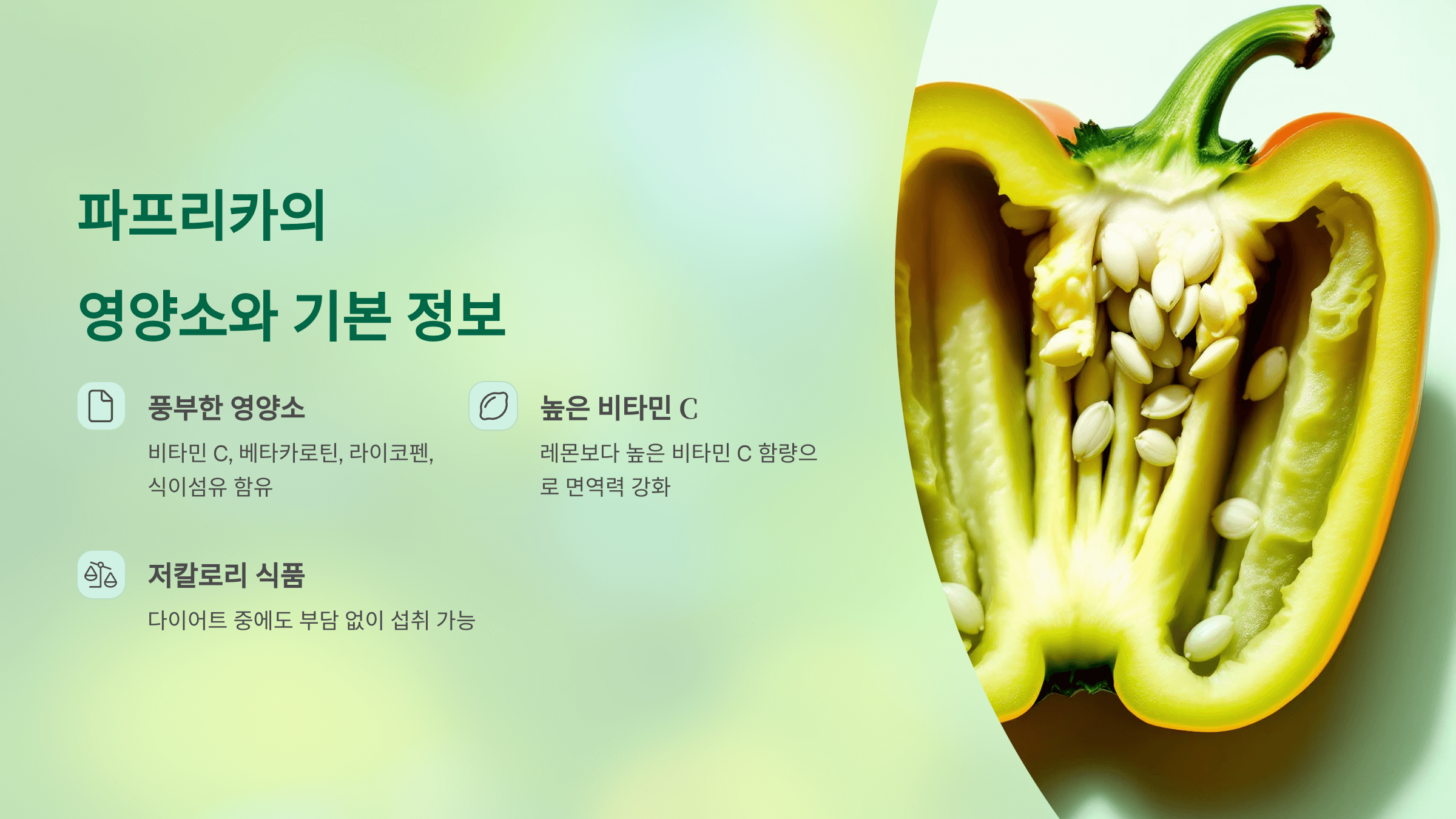 파프리카 사진입니다.