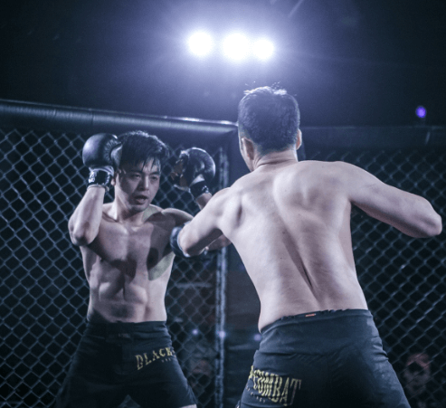 블랙컴뱃 하이라이트 / 랭킹 / 티켓 예매방법 / 굿즈 구매