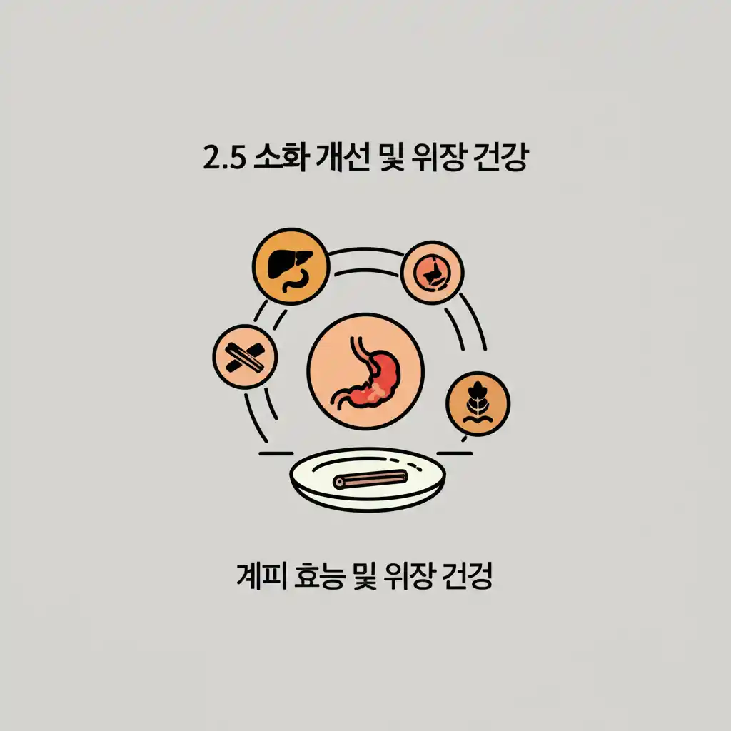 계피의 소화 개선 및 위장 건강 효능. 스틱과 파우더 이미지.