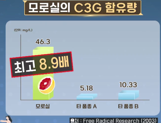 모로실 효능