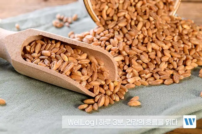 파로 효소 효능, 카무트 효소 효능